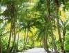 Filitheyo Island Resort 